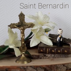 Saint bernardin